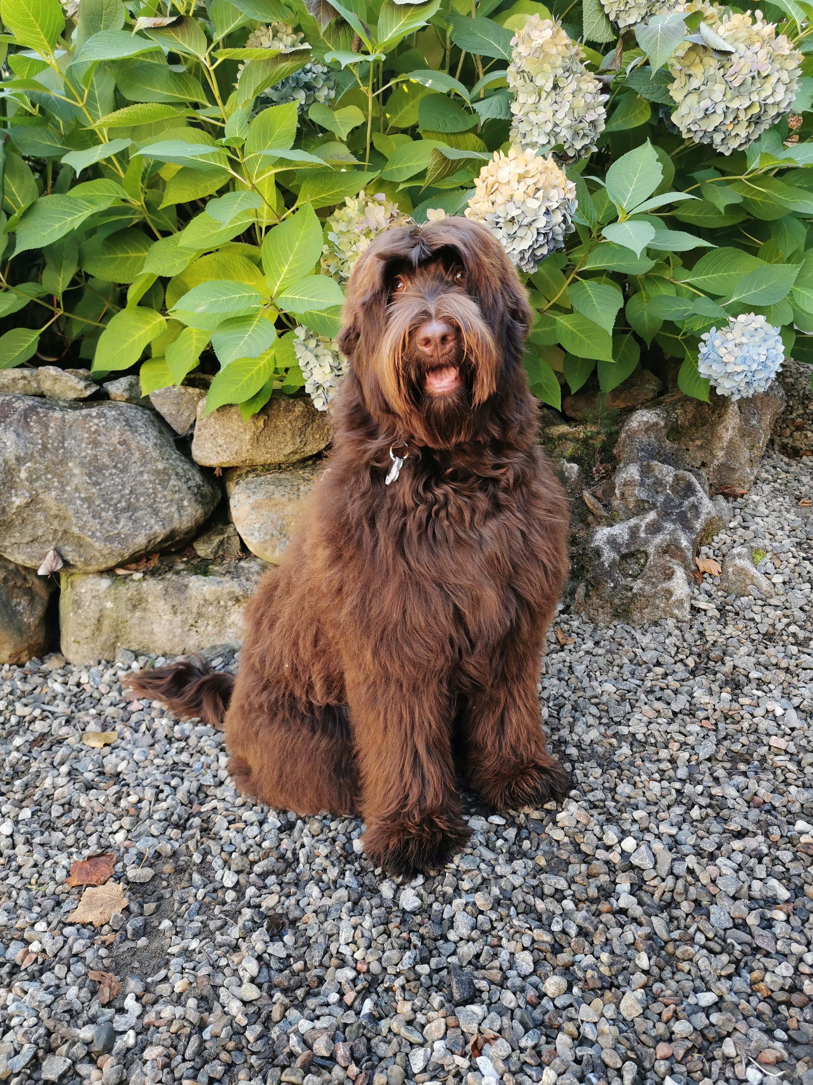 IMG_20221005_122313_2